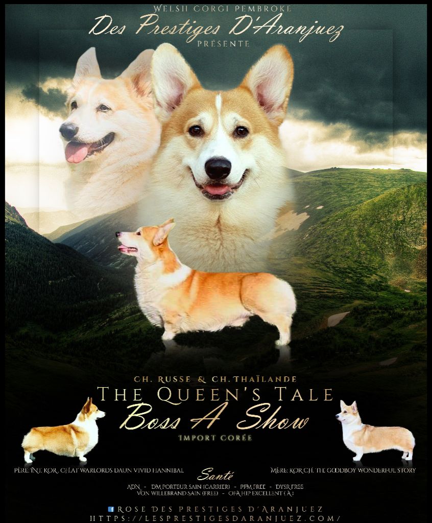 CH. Boss a show the queen's tale